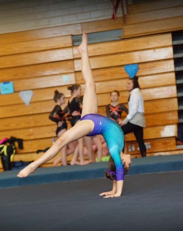 Gymnastics - The Dance Refinery - Dance School in Indianapolis, IN